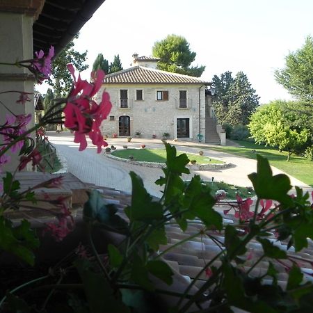 Tenuta Pizzogallo Amelia Extérieur photo