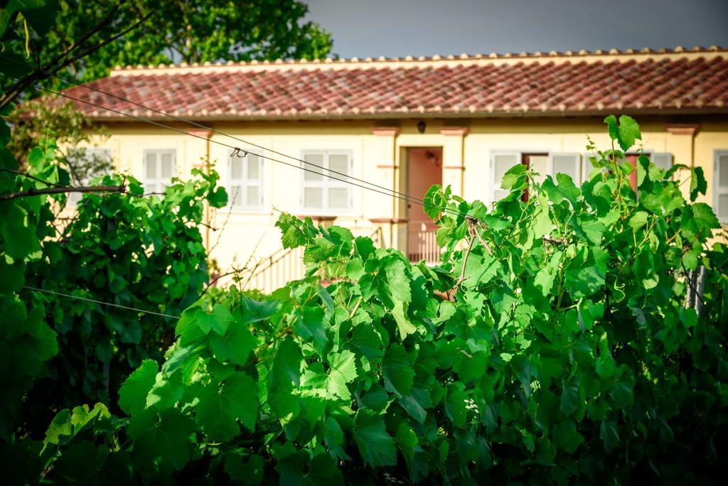 Tenuta Pizzogallo Amelia Extérieur photo