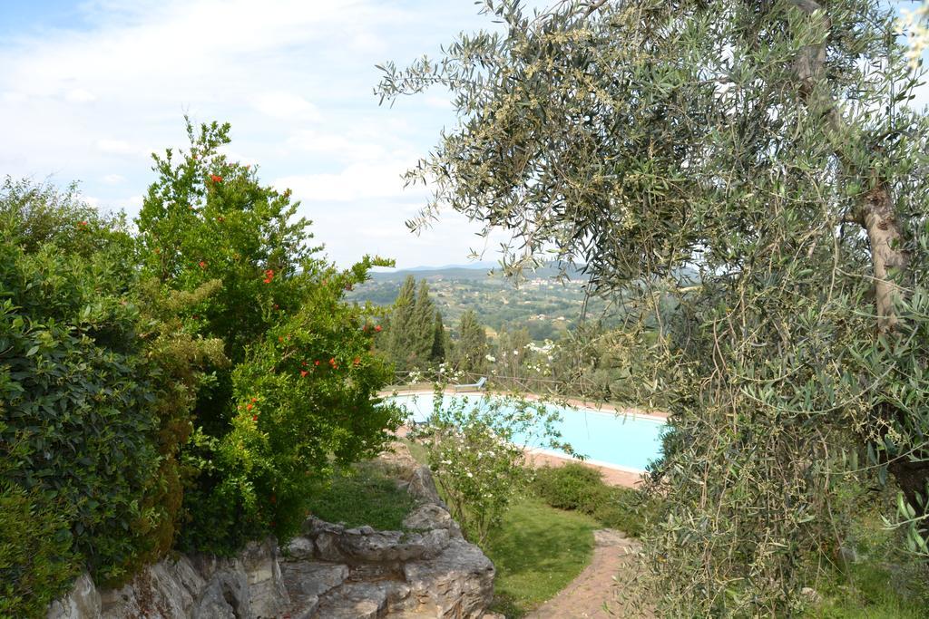 Tenuta Pizzogallo Amelia Extérieur photo