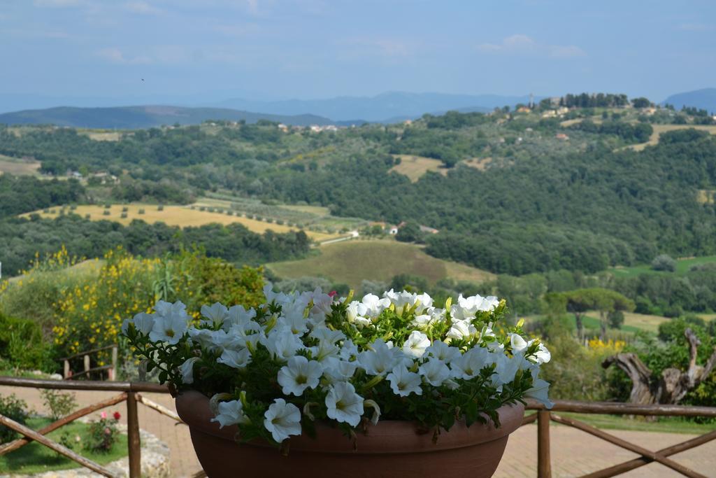 Tenuta Pizzogallo Amelia Extérieur photo