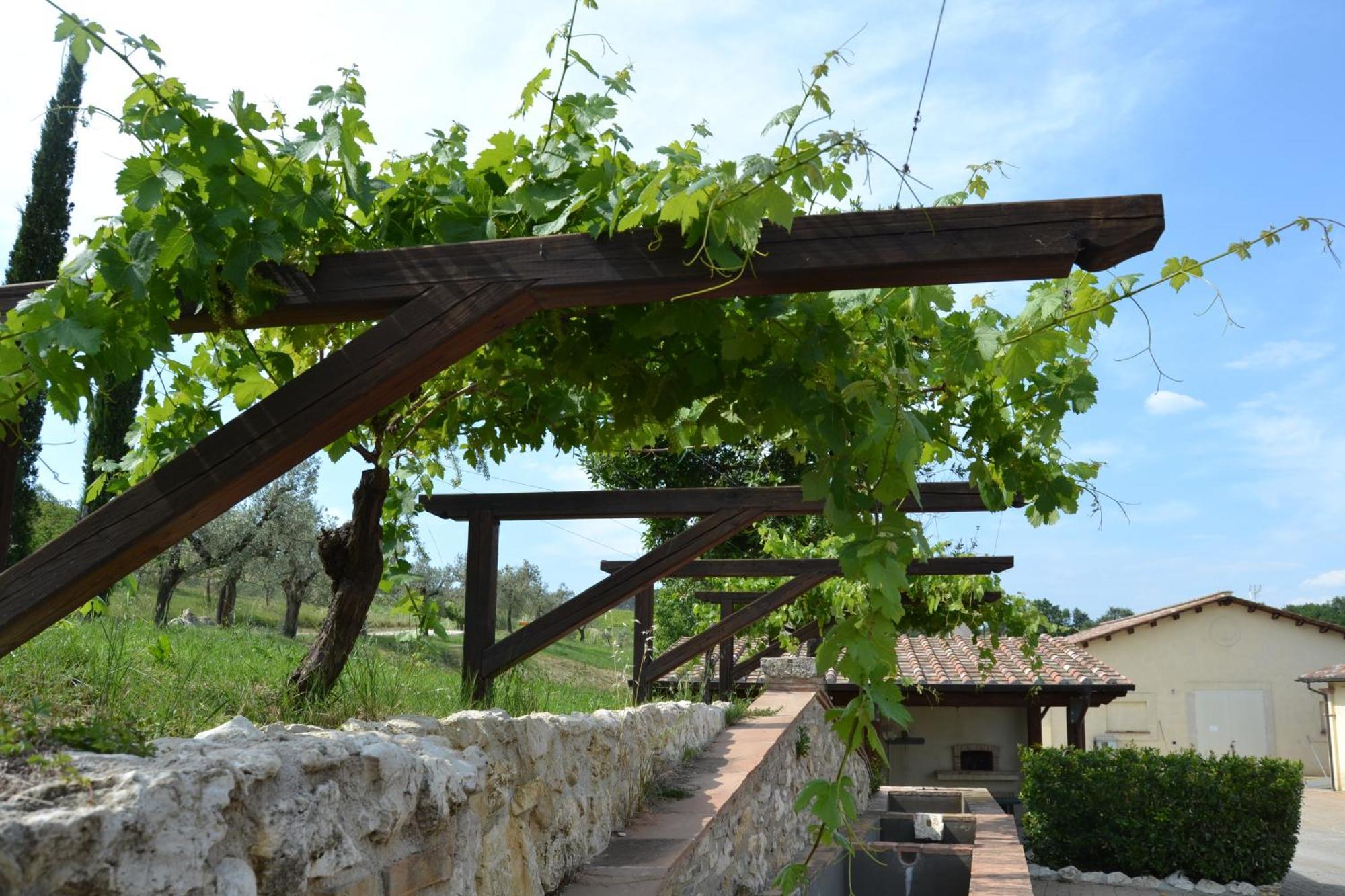 Tenuta Pizzogallo Amelia Extérieur photo