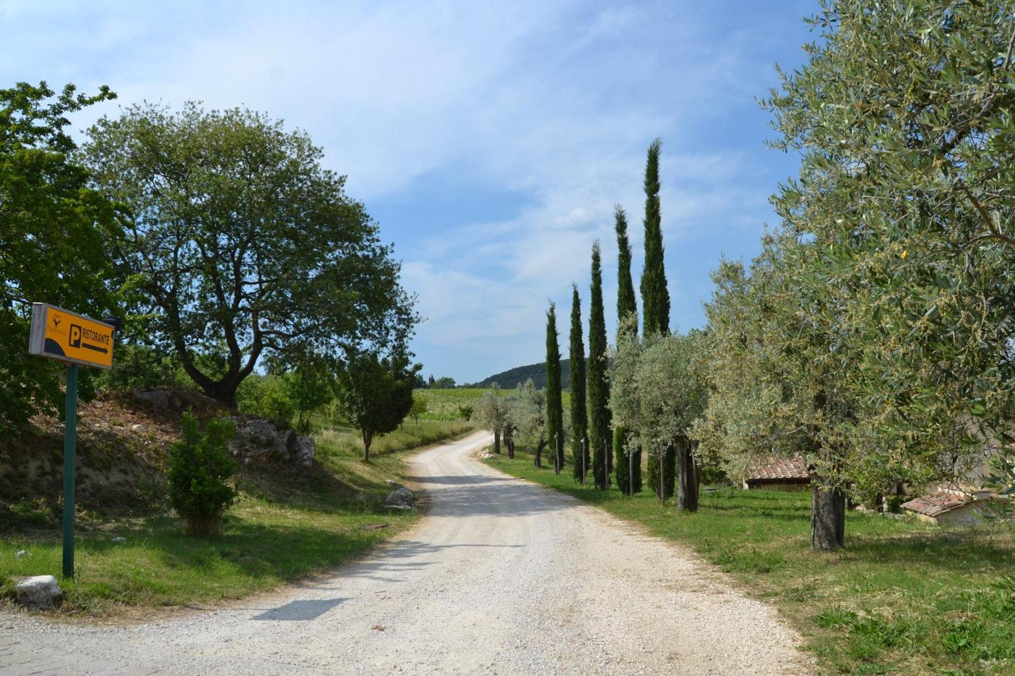 Tenuta Pizzogallo Amelia Extérieur photo