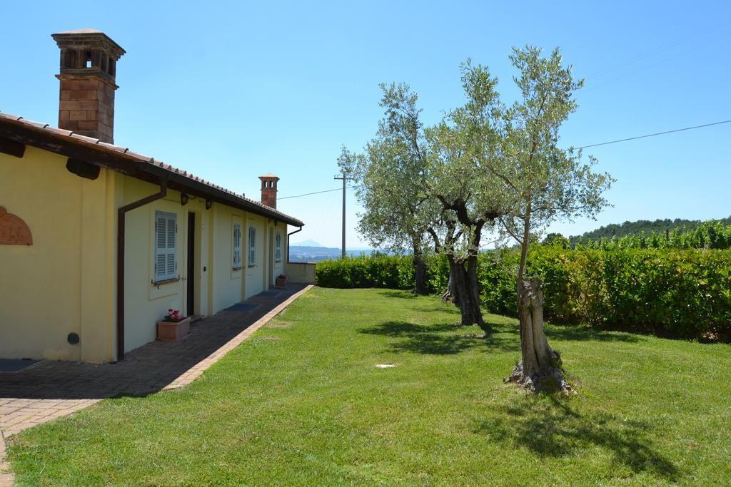 Tenuta Pizzogallo Amelia Extérieur photo