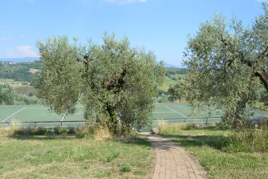 Tenuta Pizzogallo Amelia Extérieur photo