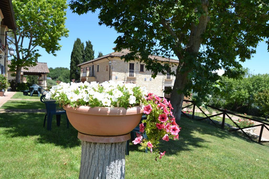 Tenuta Pizzogallo Amelia Extérieur photo