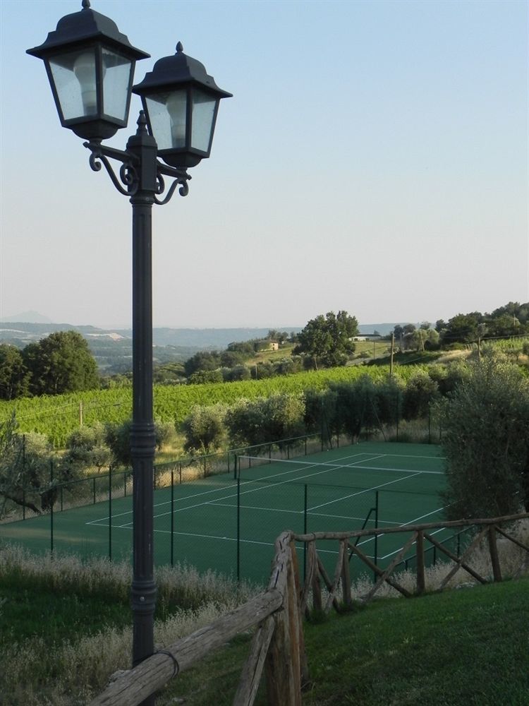 Tenuta Pizzogallo Amelia Extérieur photo